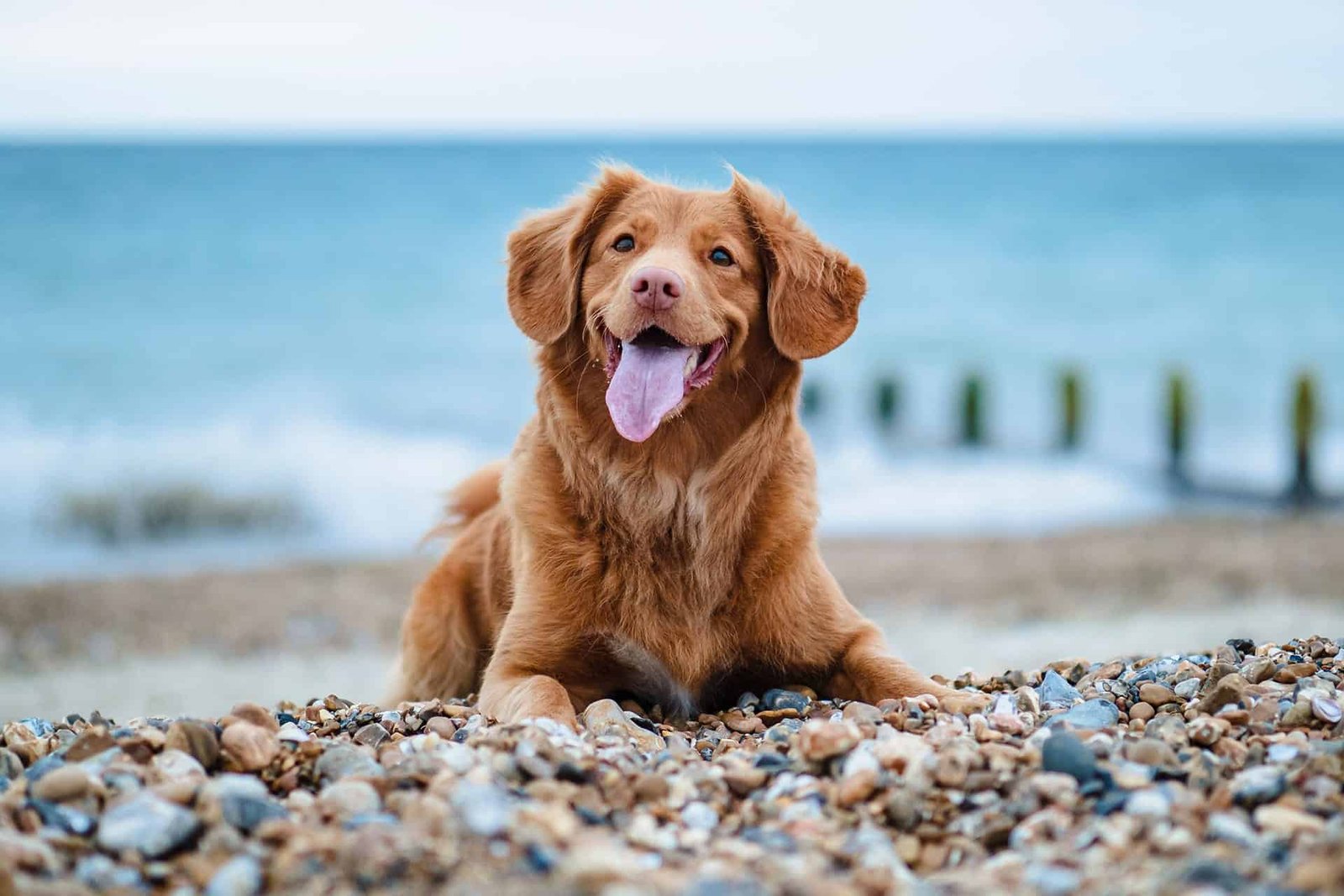 jamie-street-m4BkRRprvP10-unsplash